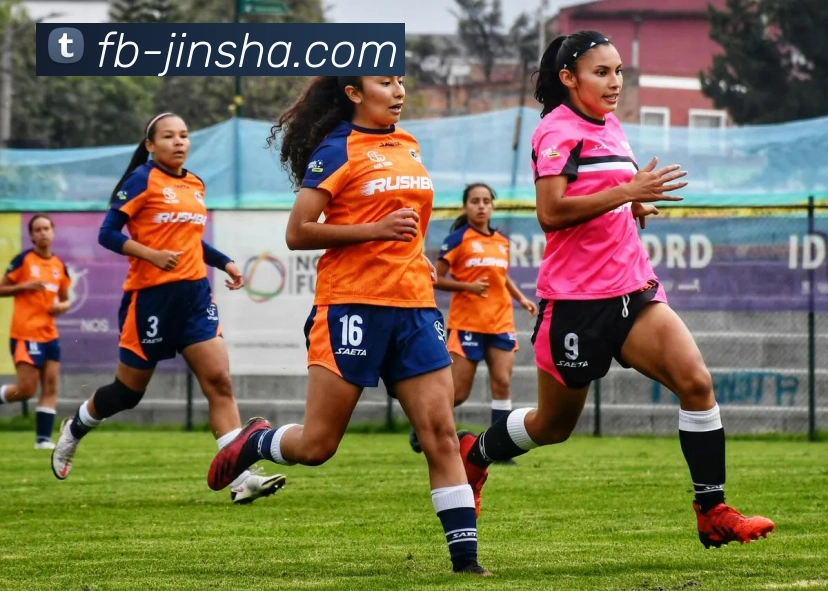 金沙娱乐城平台生态图